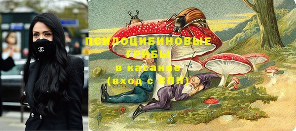 тгк Алзамай