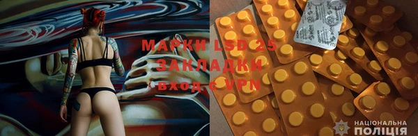 тгк Алзамай