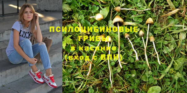 тгк Алзамай